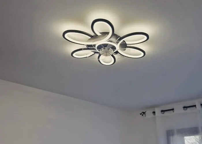 L'espourguit Proche De L'océan Et De La Forêt *